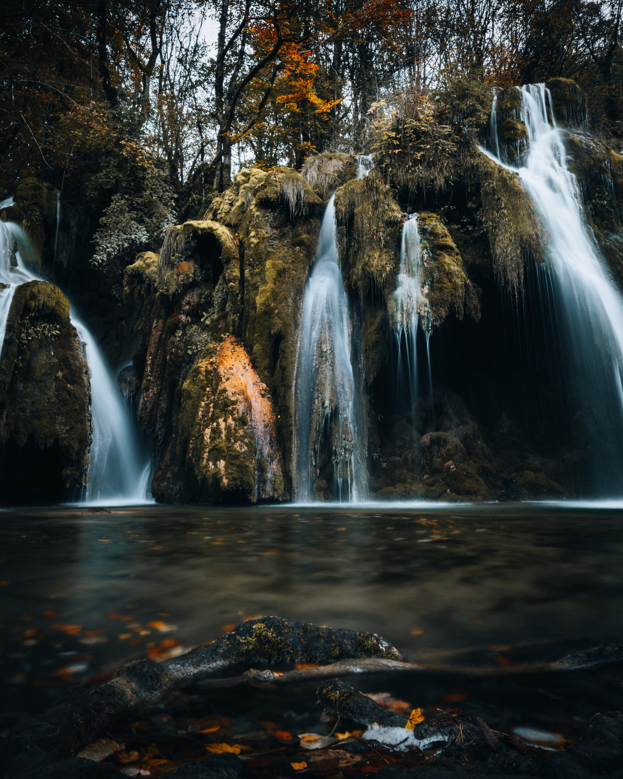A quiet forest sanctuary where water slowly shapes stone, moss, and silence.